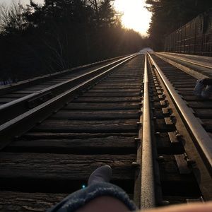 Meet your Posher, Jessie